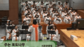 주는 포도나무